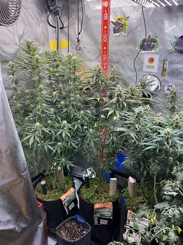 Growreport Bild 9