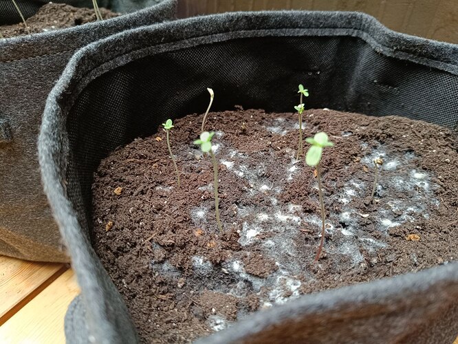 photo_5220064472754935353_y