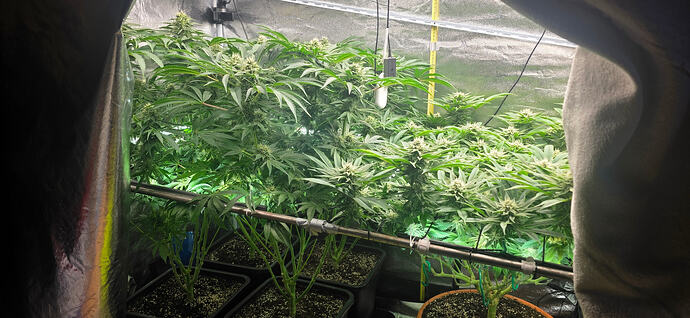 Growreport Bild 23
