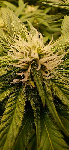 Growreport Bild 13