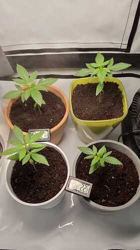 WhatsApp Image 2024-04-23 at 19.14.26