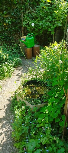 Growreport Bild 8