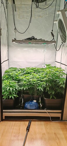 Growreport Bild 1