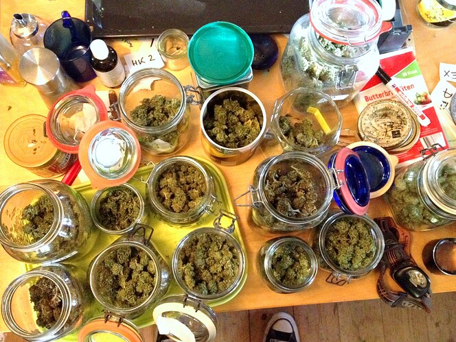 Grow25_1105_glaeser_1