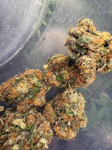 Growreport Bild 20