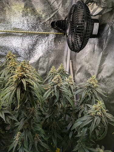 PXL_20240623_193137530