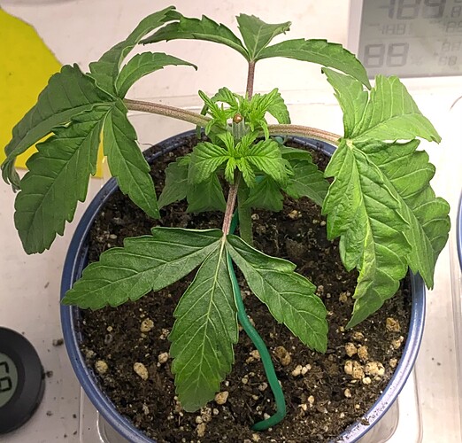 Growreport Bild 18