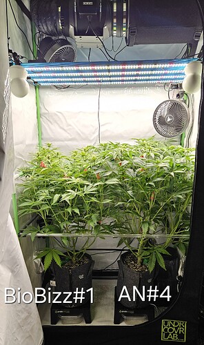 Growreport Bild 21