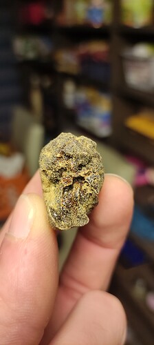 Growreport Bild 10