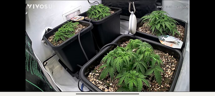 Screenshot_2025-10-09-21-21-57-983_com.vivosun.android