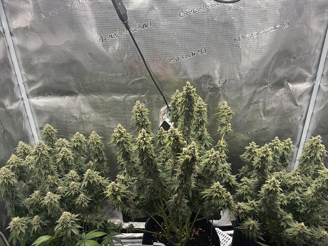 Growreport Bild 6
