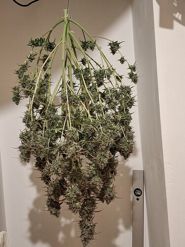 Growreport Bild 10
