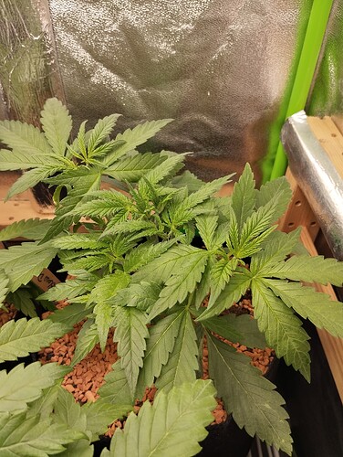 Growreport Bild 17