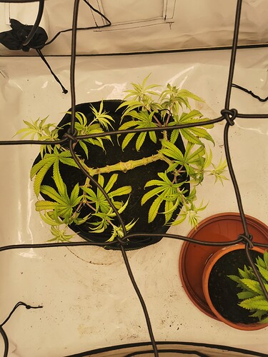 Growreport Bild 8