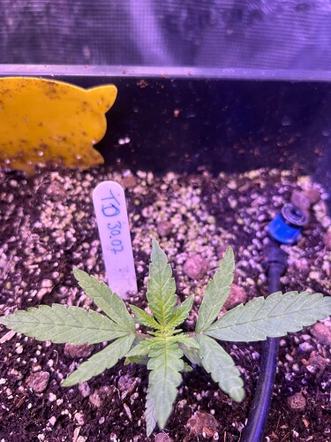 Growreport Bild 9