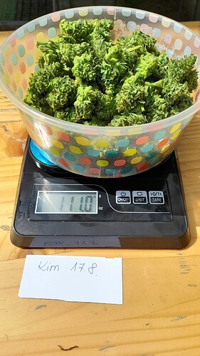 Growreport Bild 2