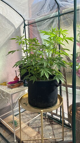 Growreport Bild 5