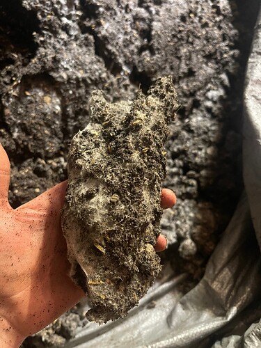 Growreport Bild 12