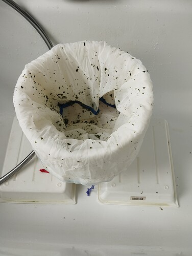 Growreport Bild 2