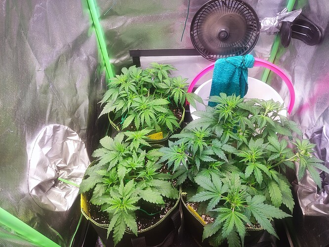 Growreport Bild 5