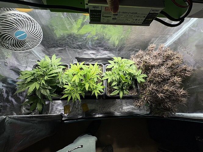 Growreport Bild 2