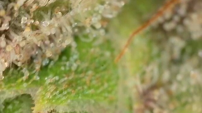 Growreport Bild 16