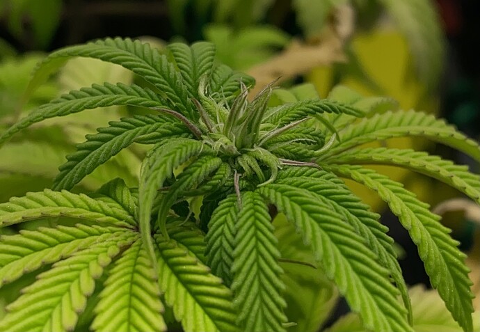 Growreport Bild 15