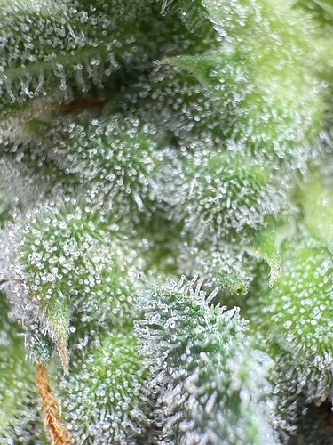 Growreport Bild 23