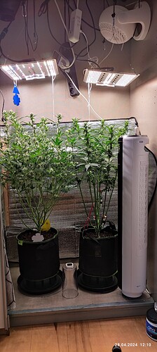 IMG_20240428_121033