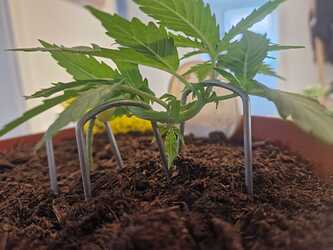 WhatsApp Image 2024-05-18 at 09.21.20