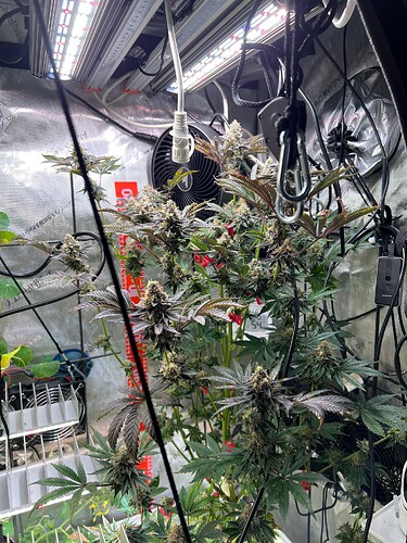Growreport Bild 15