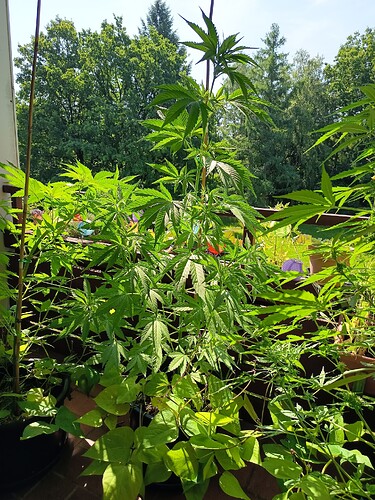 Growreport Bild 5