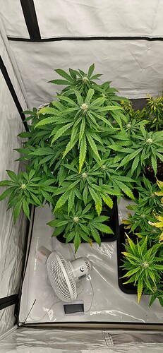 Growreport Bild 19