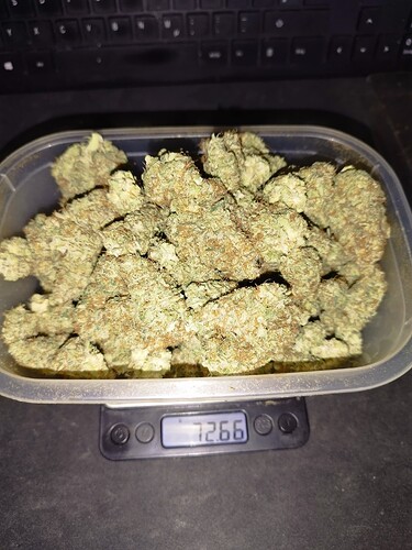 Growreport Bild 6