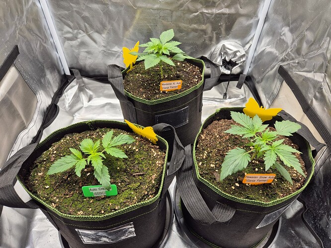 Growreport Bild 9