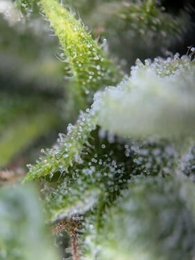 PXL_20250629_093847611.MP