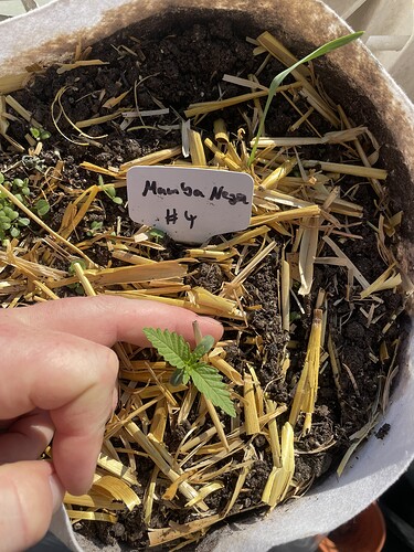 Growreport Bild 7