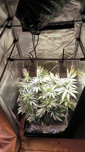 Growreport Bild 16
