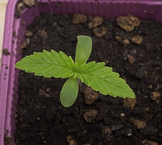 Growreport Bild 9