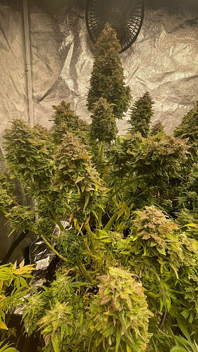 Growreport Bild 13