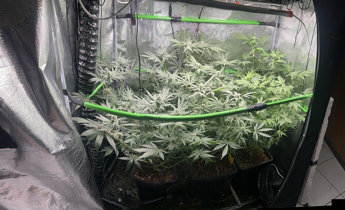Growreport Bild 46