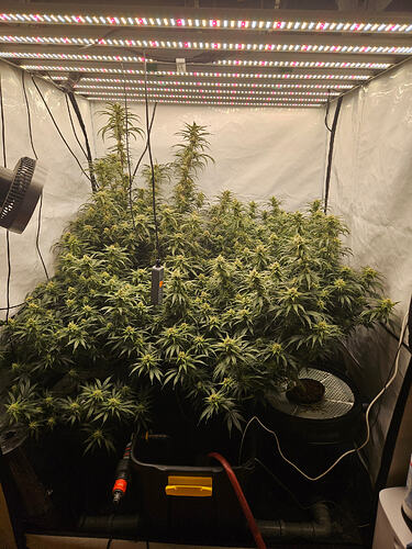 Growreport Bild 1