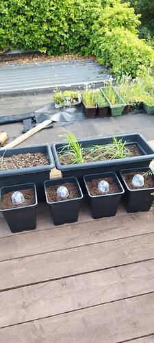 Growreport Bild 20