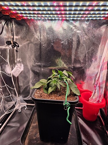 Growreport Bild 10