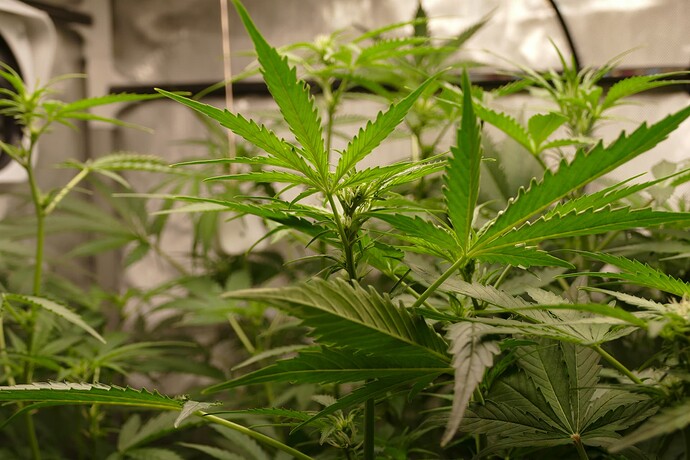 Growreport Bild 22