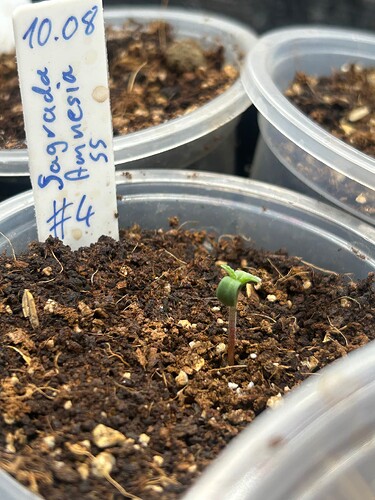 Growreport Bild 18