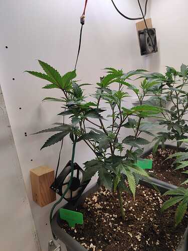 WhatsApp Image 2024-05-25 at 20.09.13