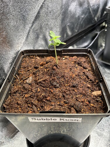 Growreport Bild 9