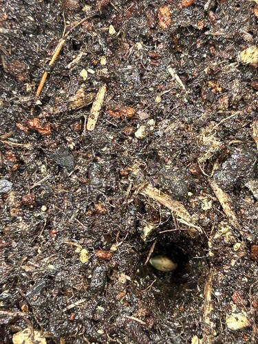 Growreport Bild 78