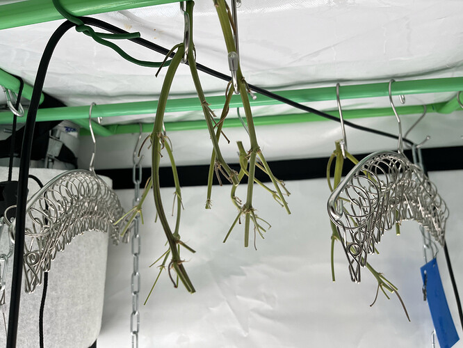 77402A14-0D9D-49DD-AD5E-6131823229B8